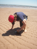 Bothwell Beach
Just East of Basin Head